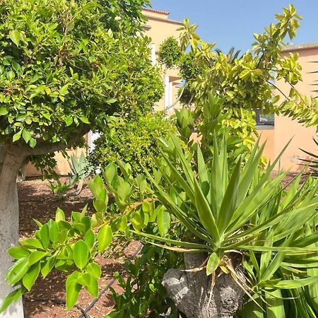 Ocean View Apartment In Orlando Costa Adeje  Ngoại thất bức ảnh