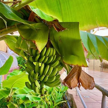 Ocean View Apartment In Orlando Costa Adeje  Ngoại thất bức ảnh