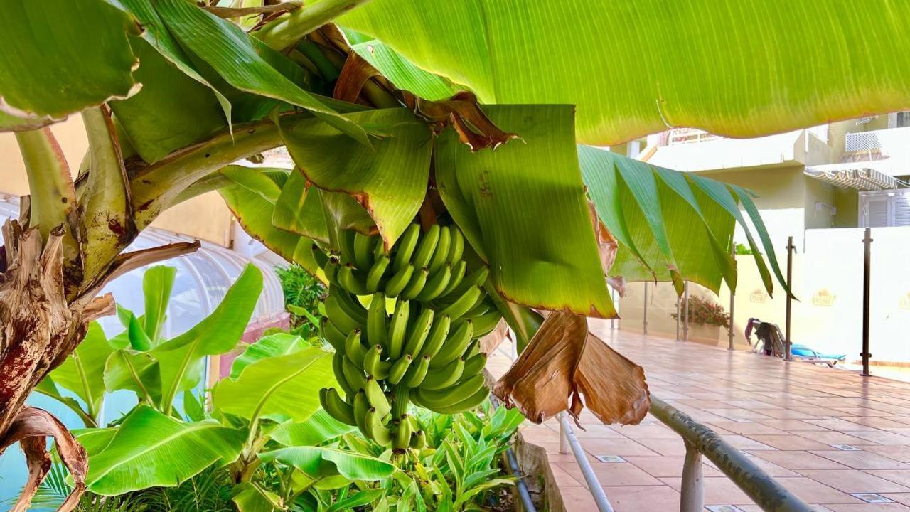 Ocean View Apartment In Orlando Costa Adeje  Ngoại thất bức ảnh