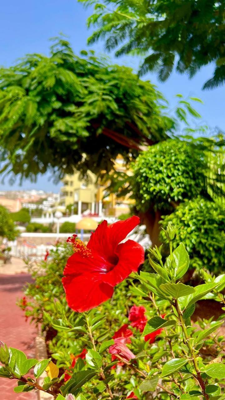 Ocean View Apartment In Orlando Costa Adeje  Ngoại thất bức ảnh